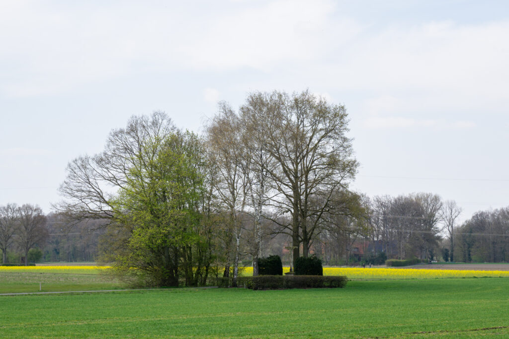Gasselstiege in Münster – Hundeort für Hunde