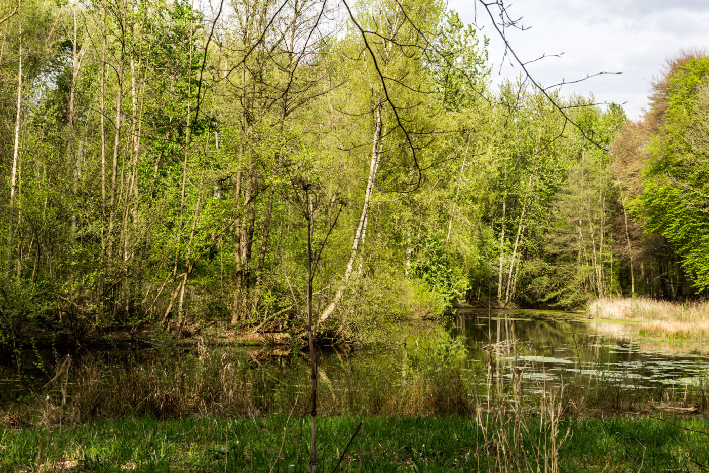 Tiergarten Wolbeck in Münster – Hundeort für Hunde