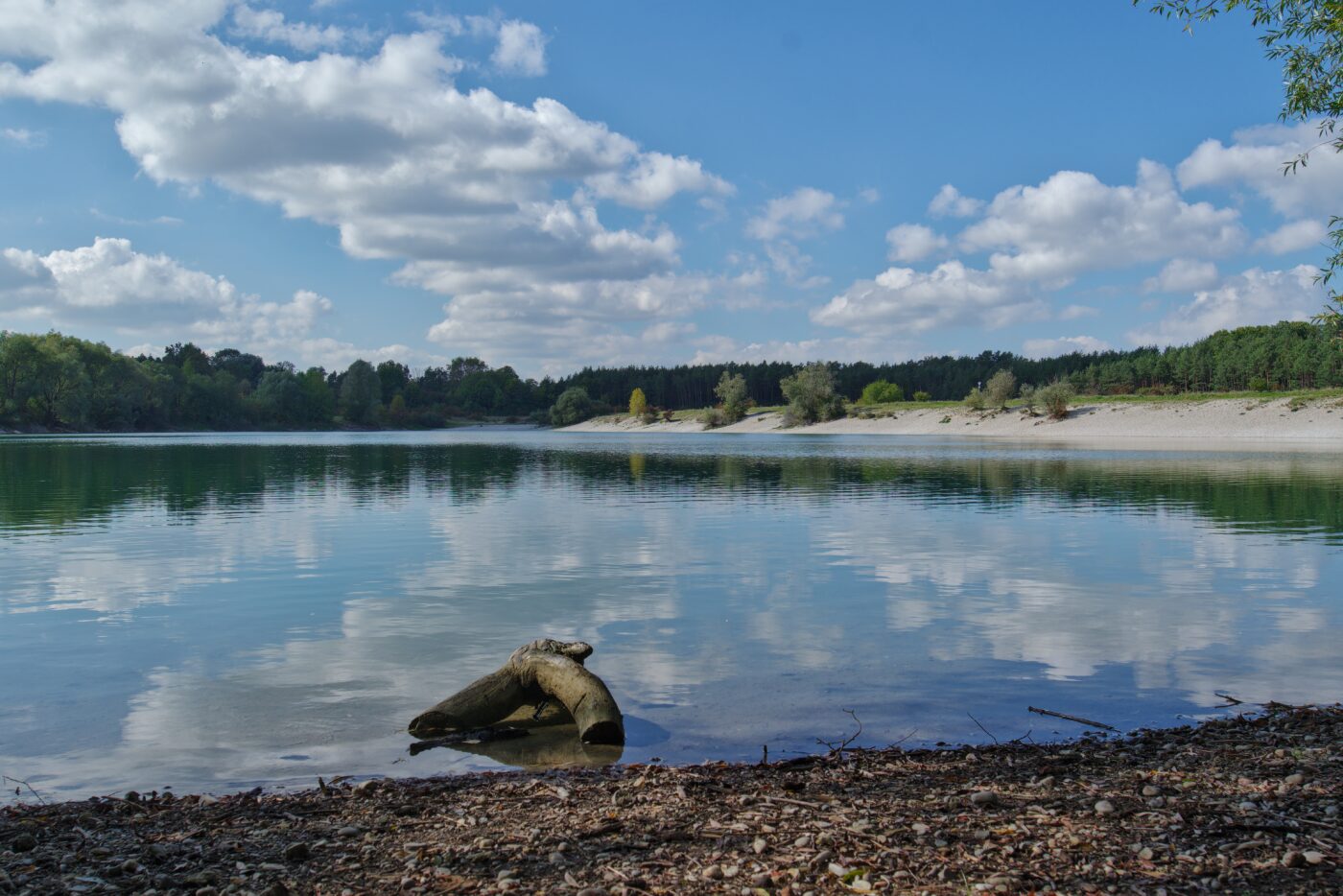 Mallertshofer See in München – Hundeort für Hunde