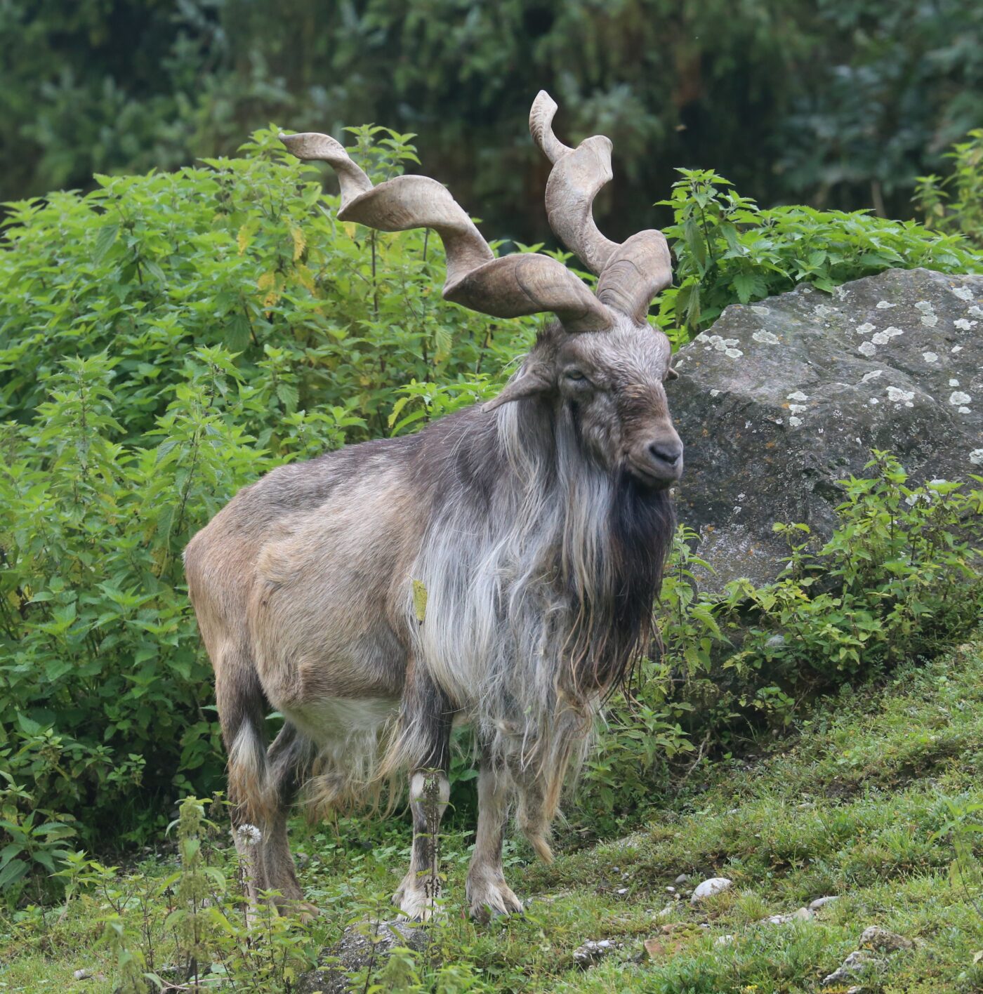 Zoo Augsburg – Hundeort für Hunde