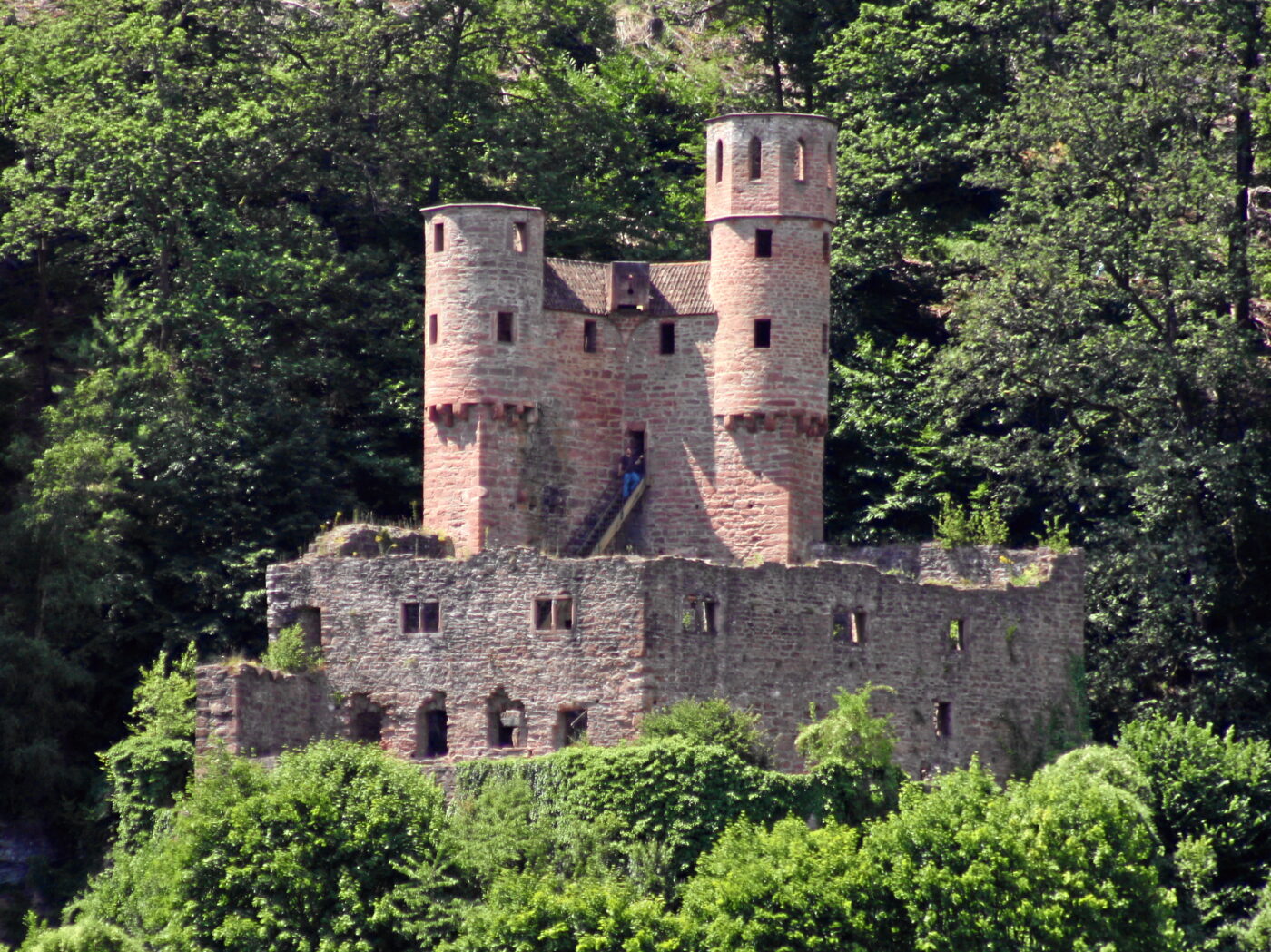 Schwalbennest – Hundeort für Hunde