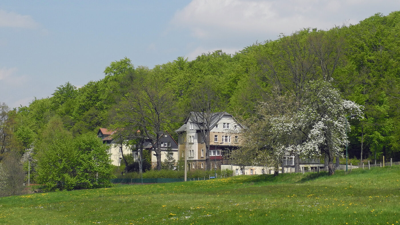 Blick auf Neukirch – hundefreundliche Region rund um Hopfendolde