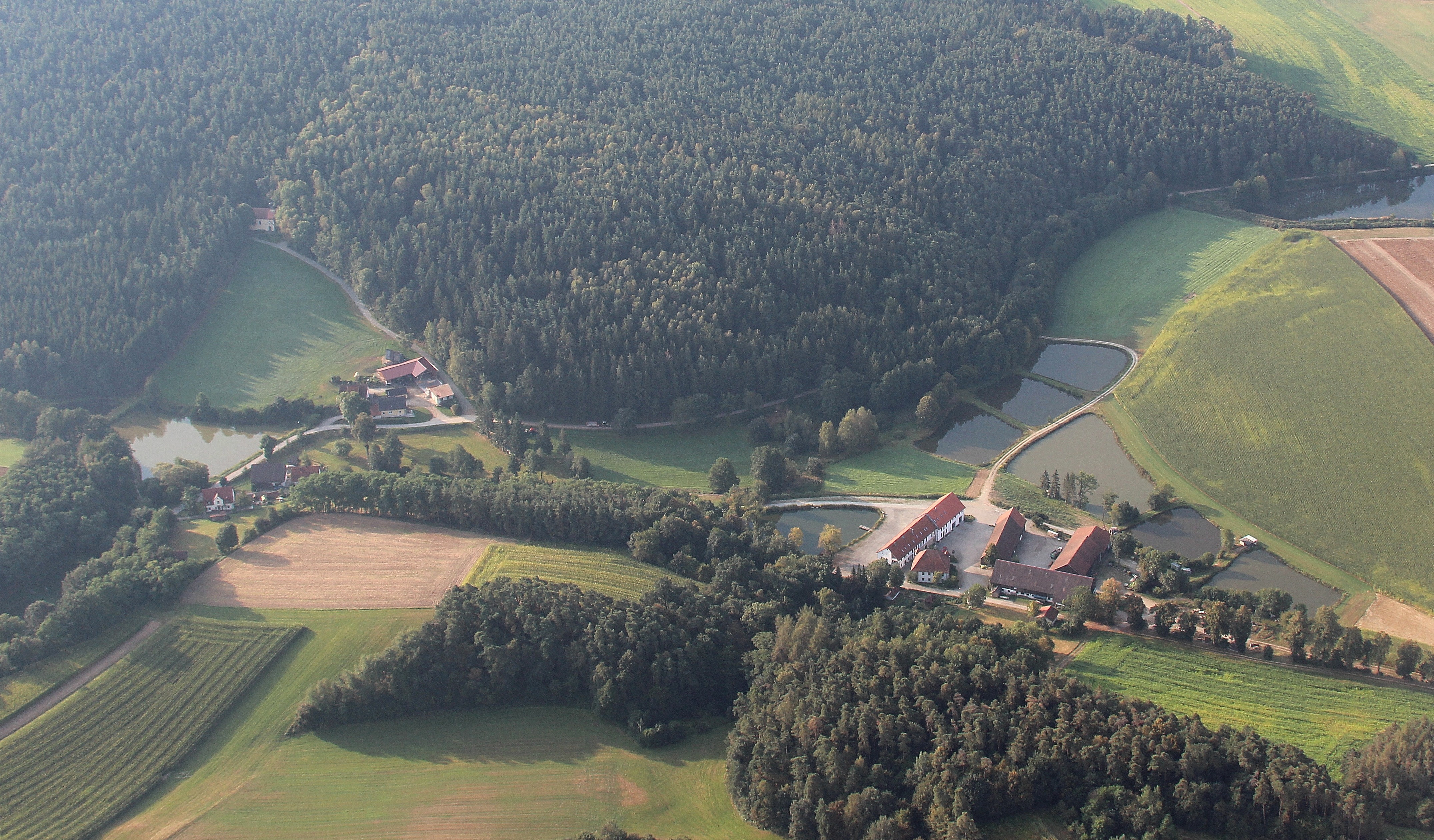 Blick auf Neunburg vorm Wald – hundefreundliche Region rund um Camping Haus Seeblick