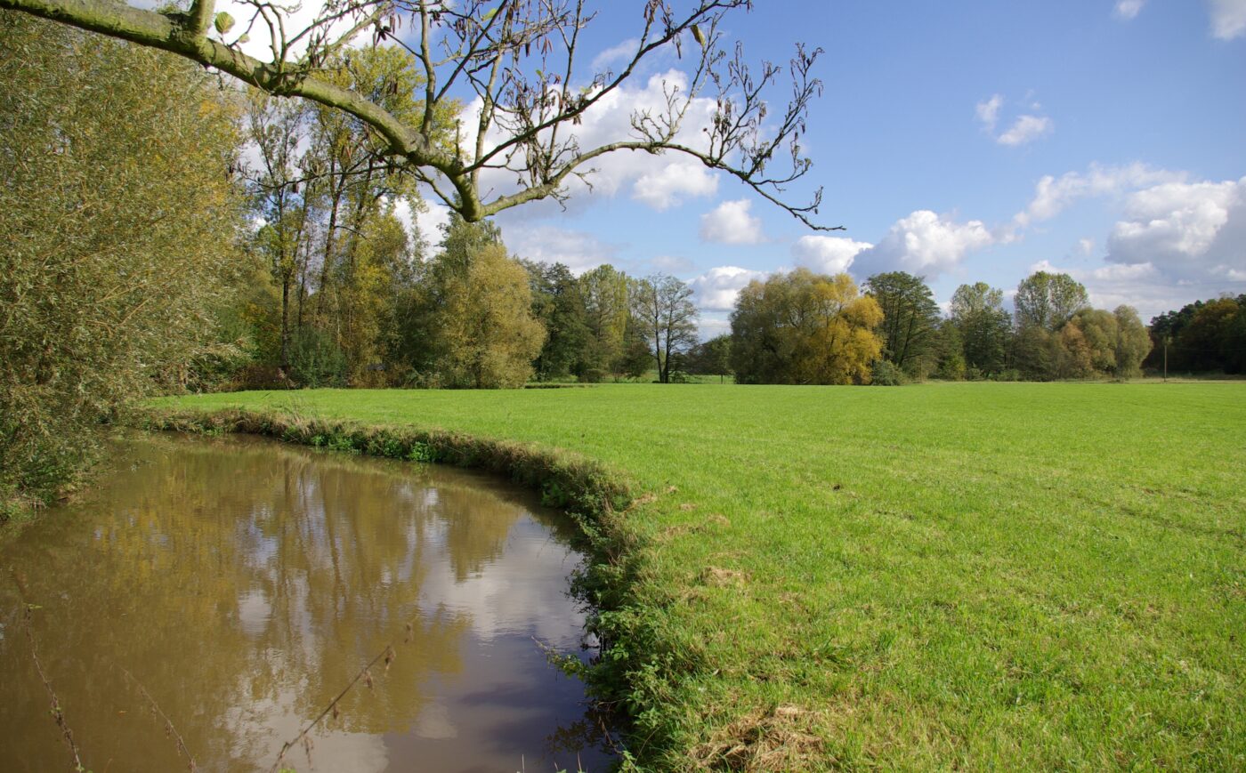 Blick auf Erlangen – hundefreundliche Region rund um Campingplatz Rangau