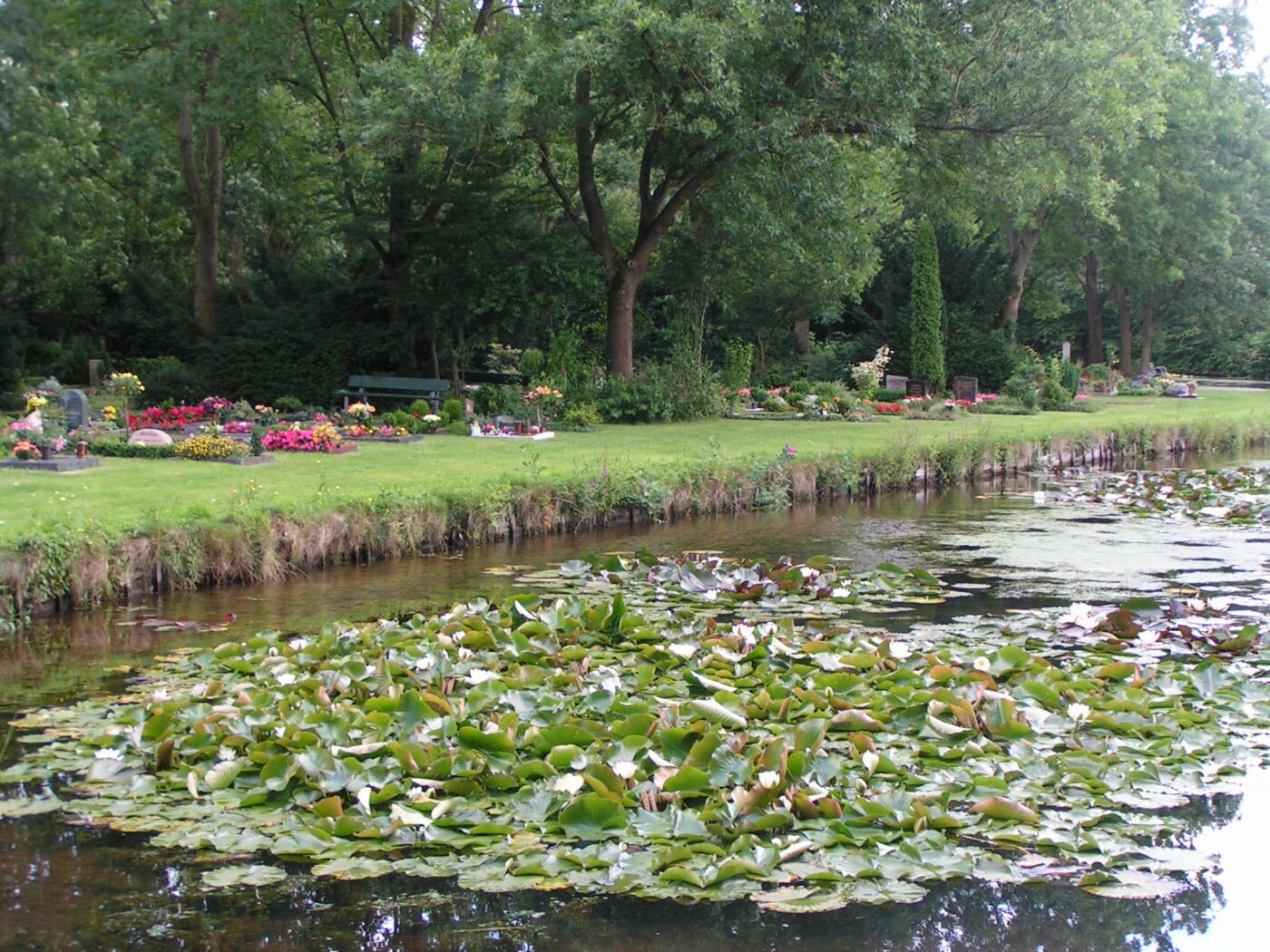 Bümmerstede – Hundeort für Hunde
