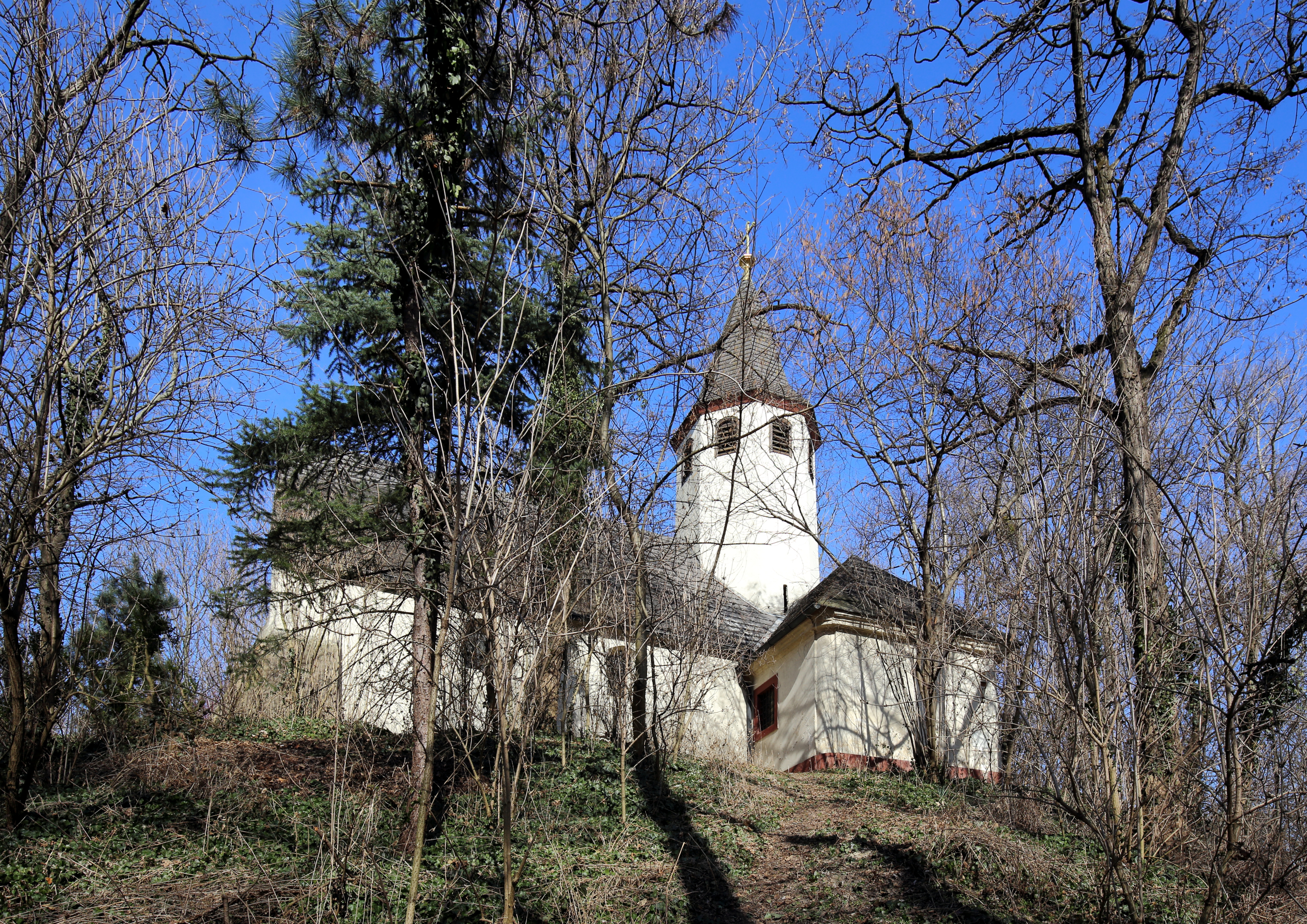 Blick auf Oberhausen – hundefreundliche Region rund um vanderort und quellenbusch gesundheitspark