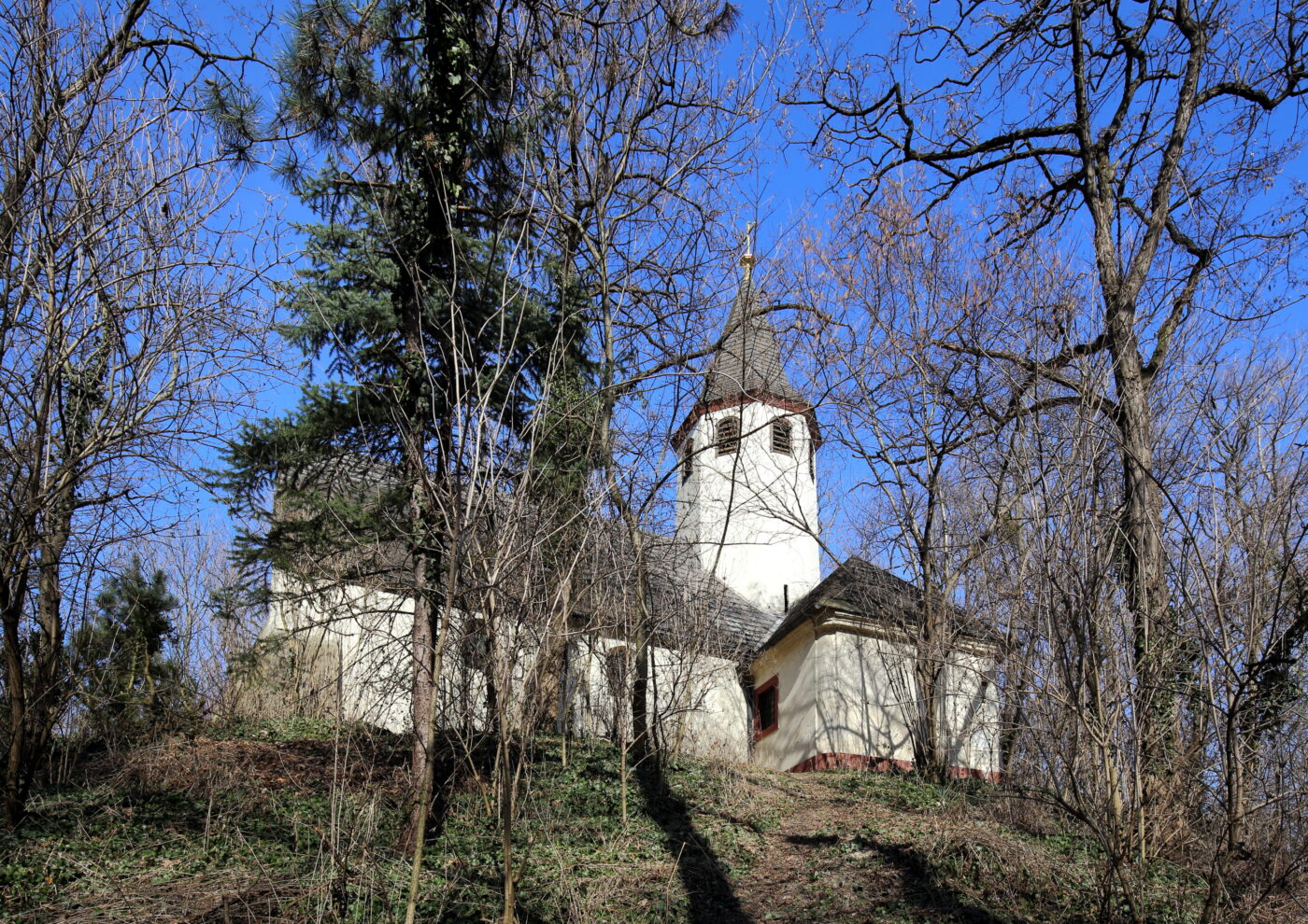 Blick auf Oberhausen – hundefreundliche Region rund um Buchenweg