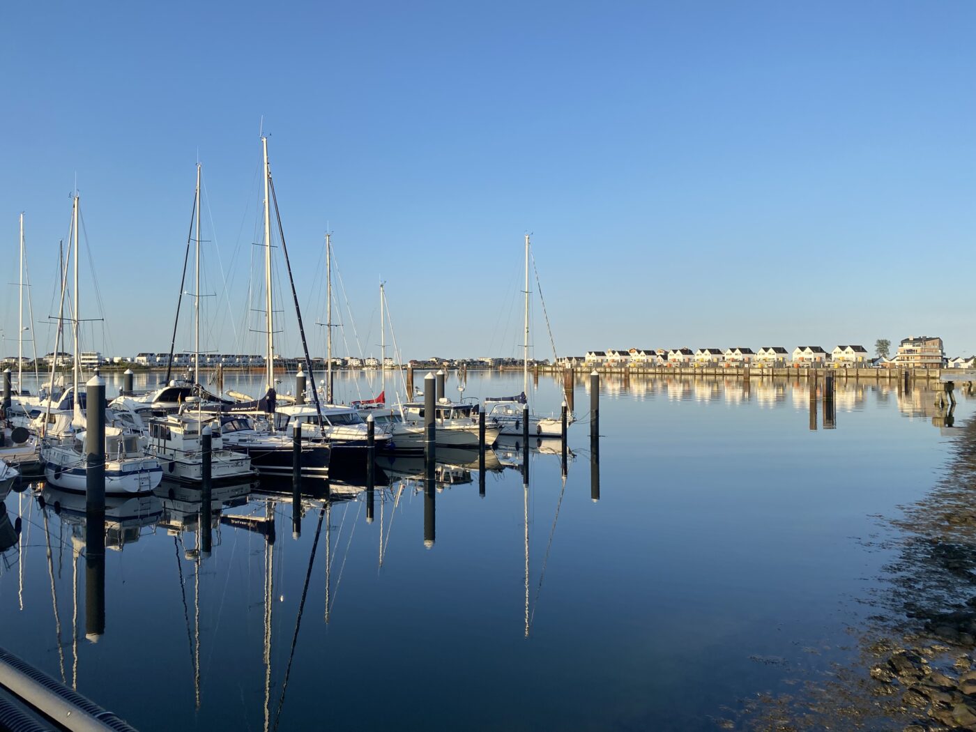 Ostsee Resort – Hundeort für Hunde