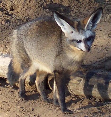 Zoo Krefeld – Hundeort für Hunde