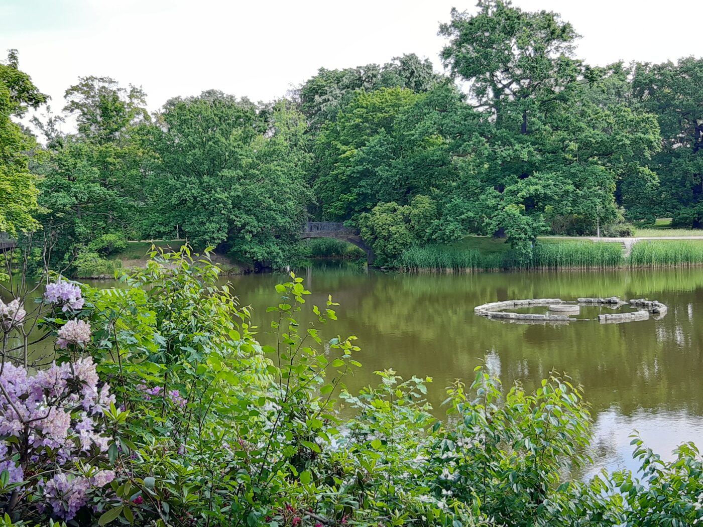 Palmengarten in Leipzig – Hundeort für Hunde