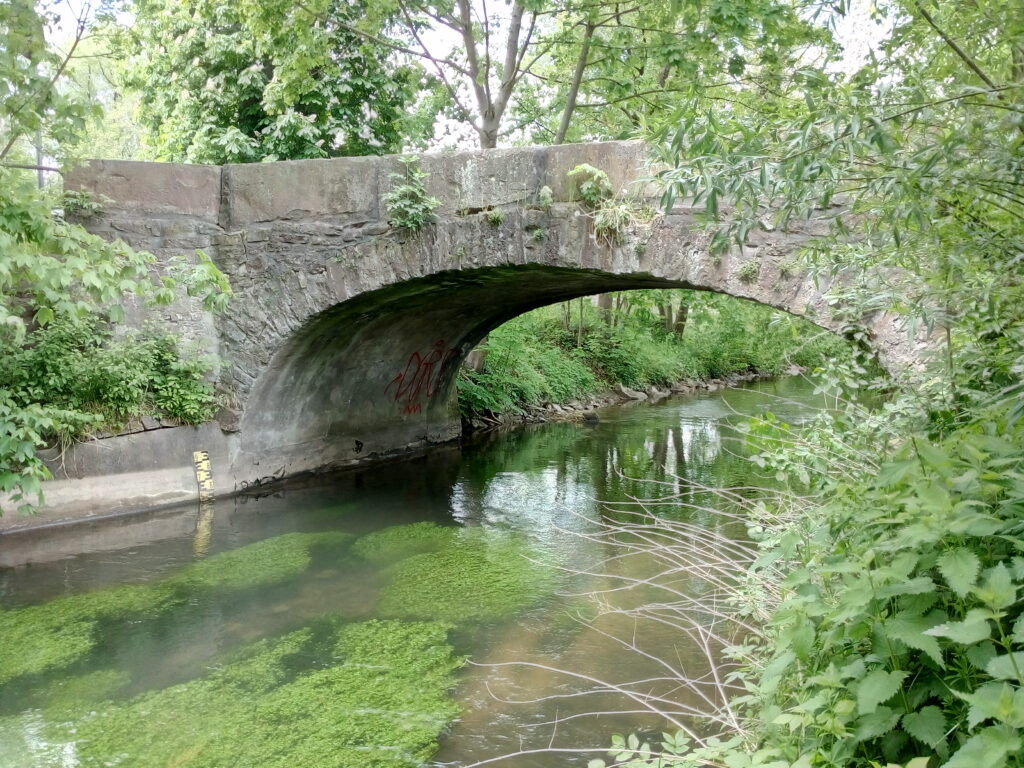 An der Pfinz in Karlsruhe – Hundeort für Hunde