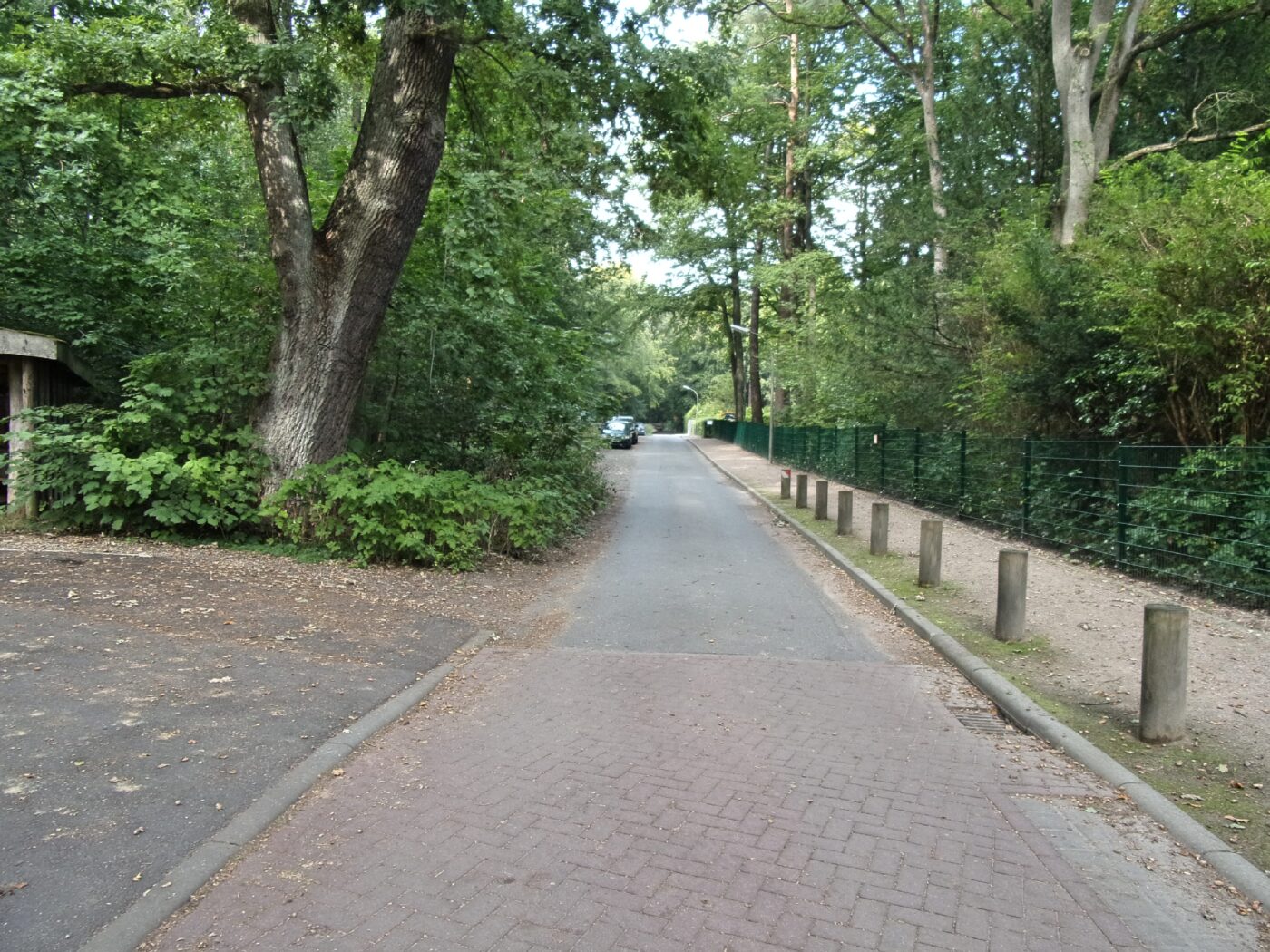 Rüdigerau in Hamburg – Hundeort für Hunde