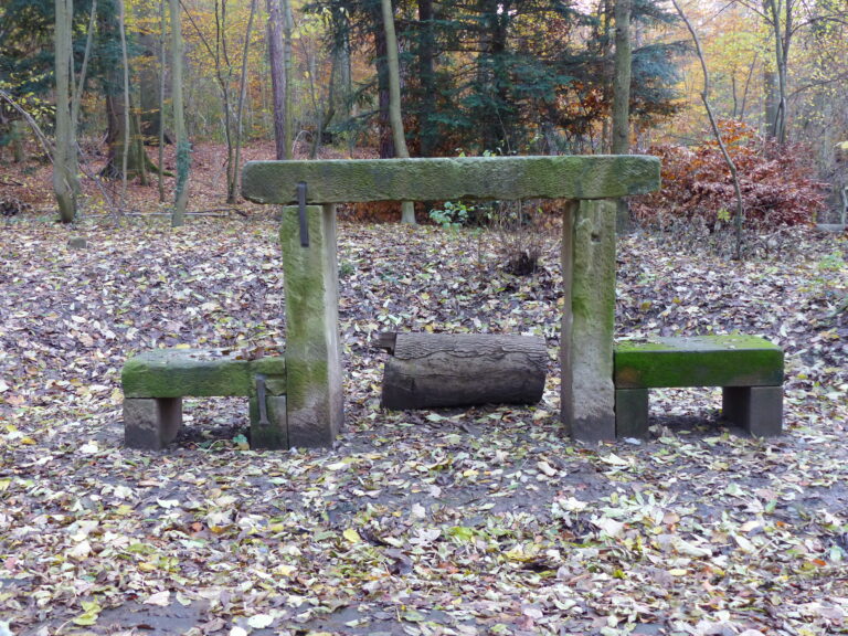 Bopser Wald in Stuttgart – Hundeort für Hunde