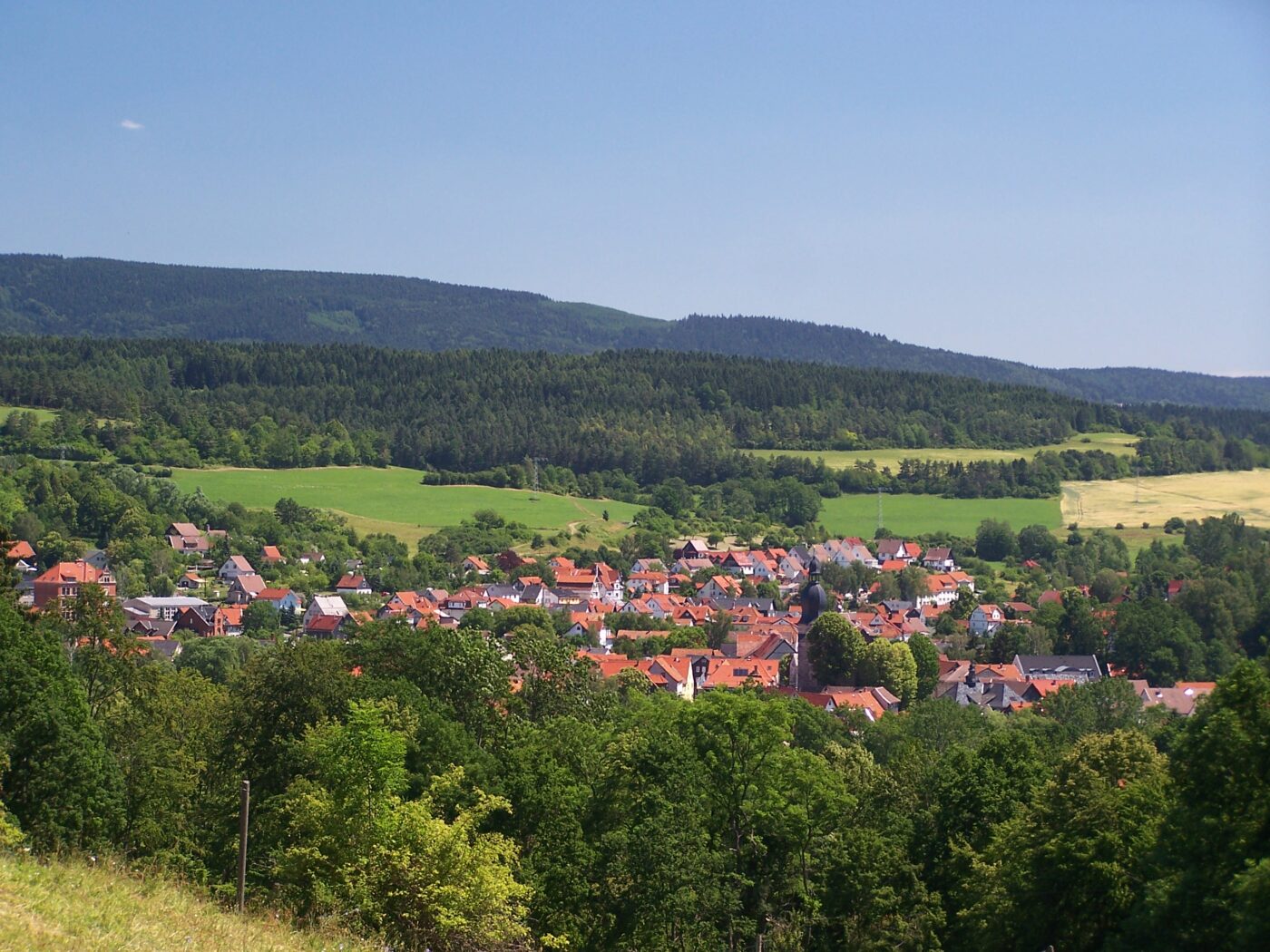 Blick auf Schalkau – hundefreundliche Region rund um Hundesportplatz „Robert Gruber“
