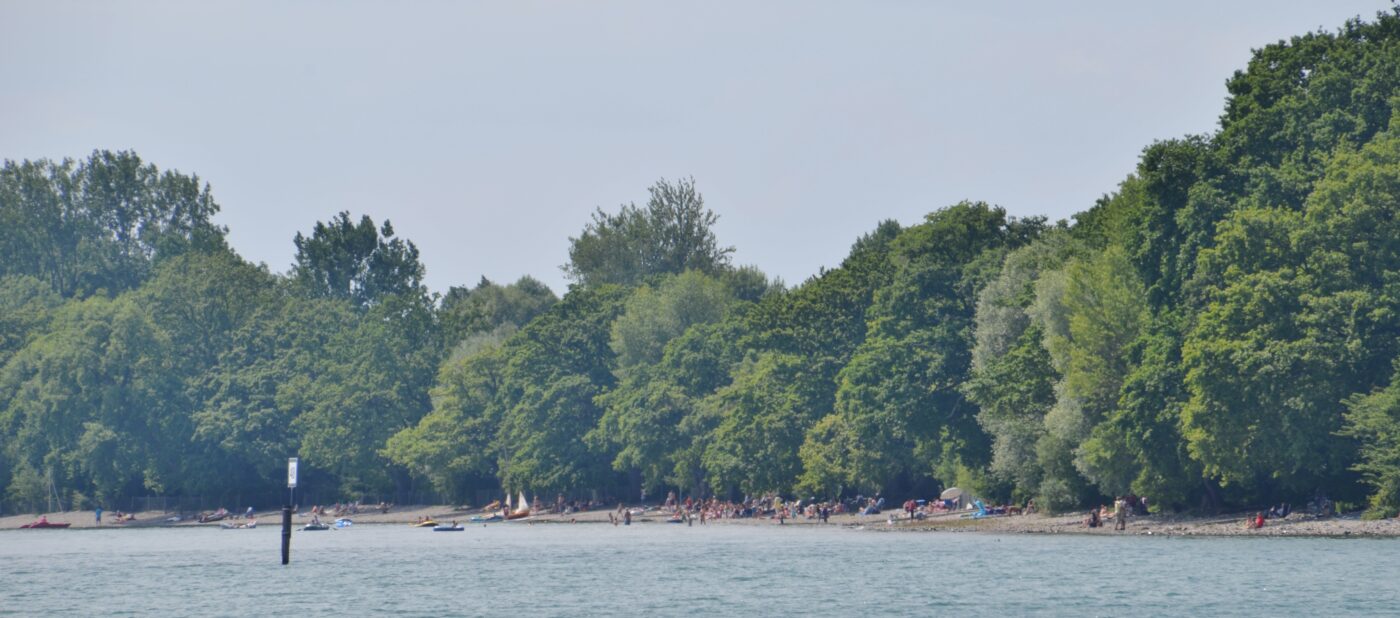 Campingplatz Iriswiese – Hundeort für Hunde