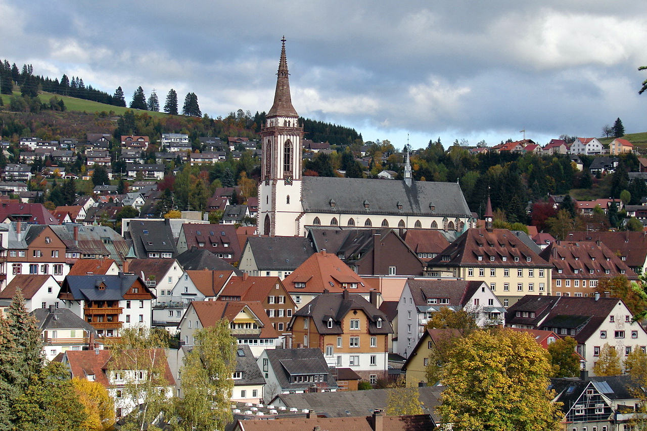 Blick auf Münster – hundefreundliche Region rund um Hundespielplatz