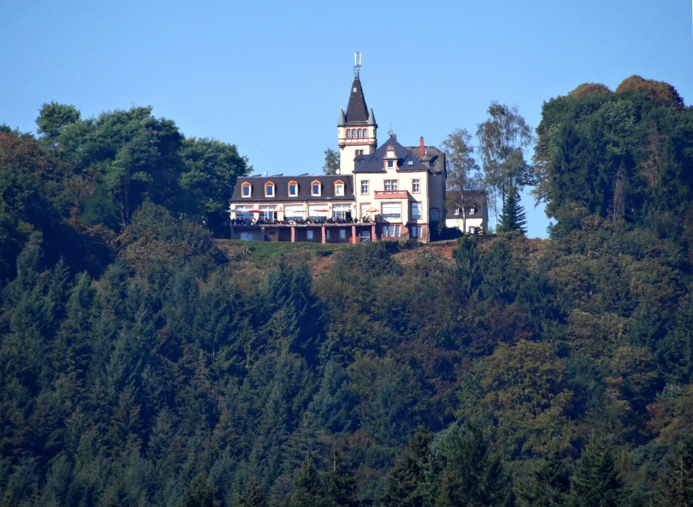 Berghotel Kockelsberg – Hundeort für Hunde