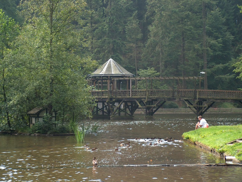 Uelfebad in Radevormwald – Hundeort für Hunde
