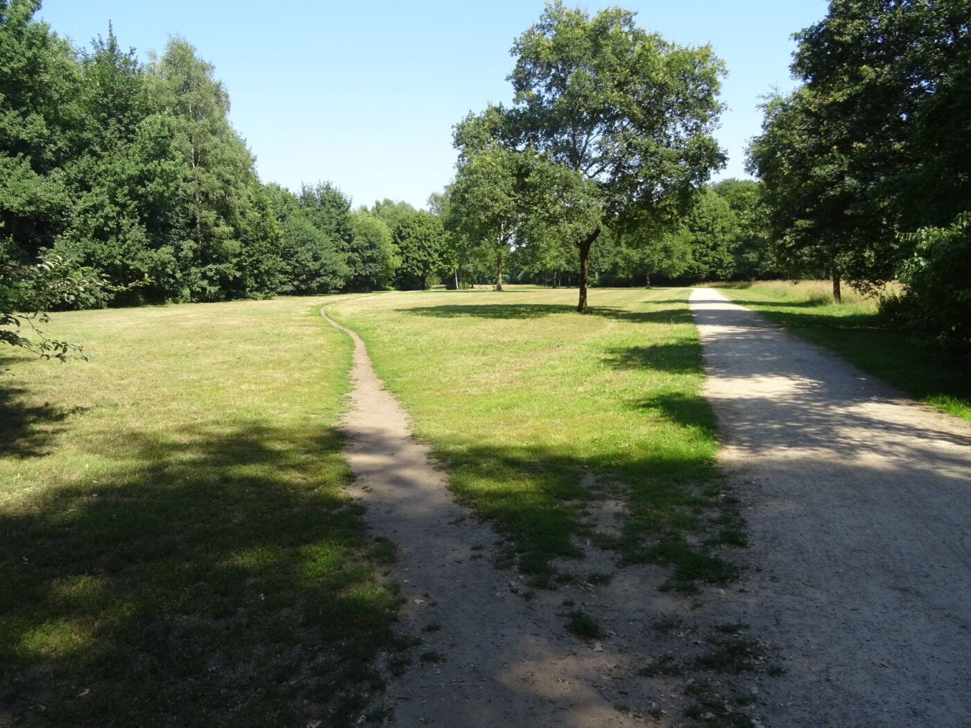 Hundeauslaufwiese – Hundeort für Hunde
