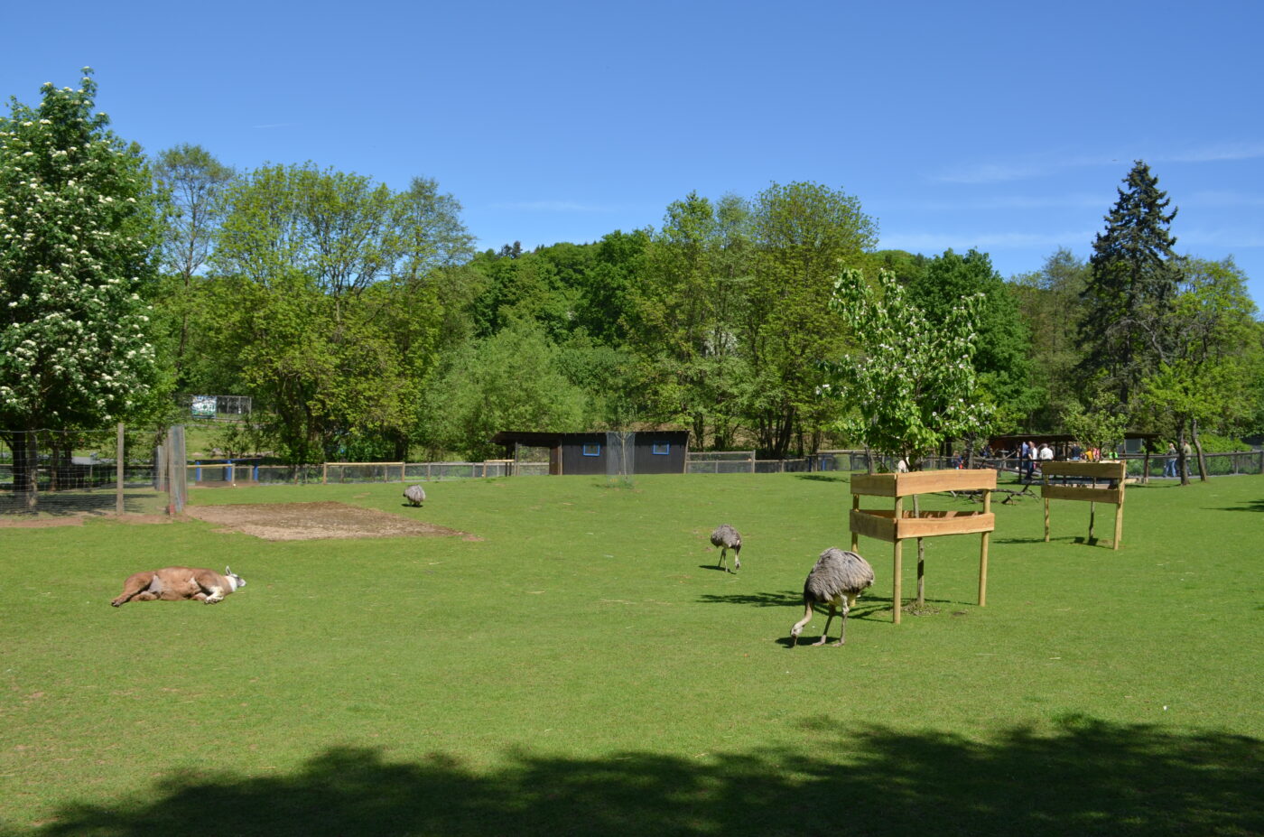 Vogelpark Schotten – Hundeort für Hunde