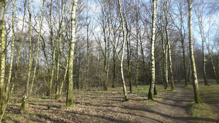 Feldmark in Bremen – Hundeort für Hunde