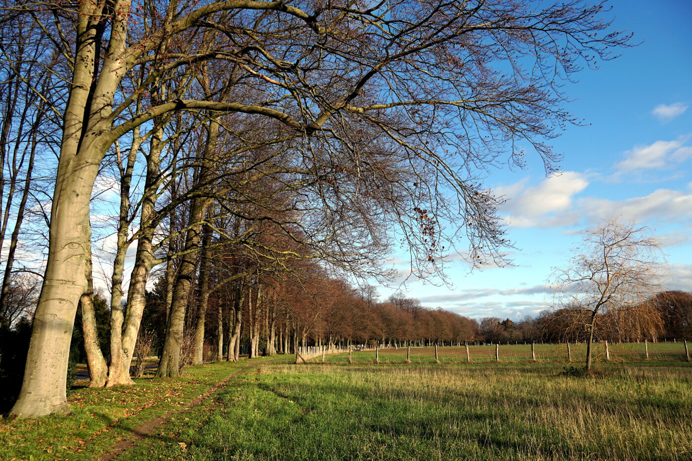 Blick auf Mönchengladbach – hundefreundliche Region rund um Hundefreilauffläche Vitus-Park