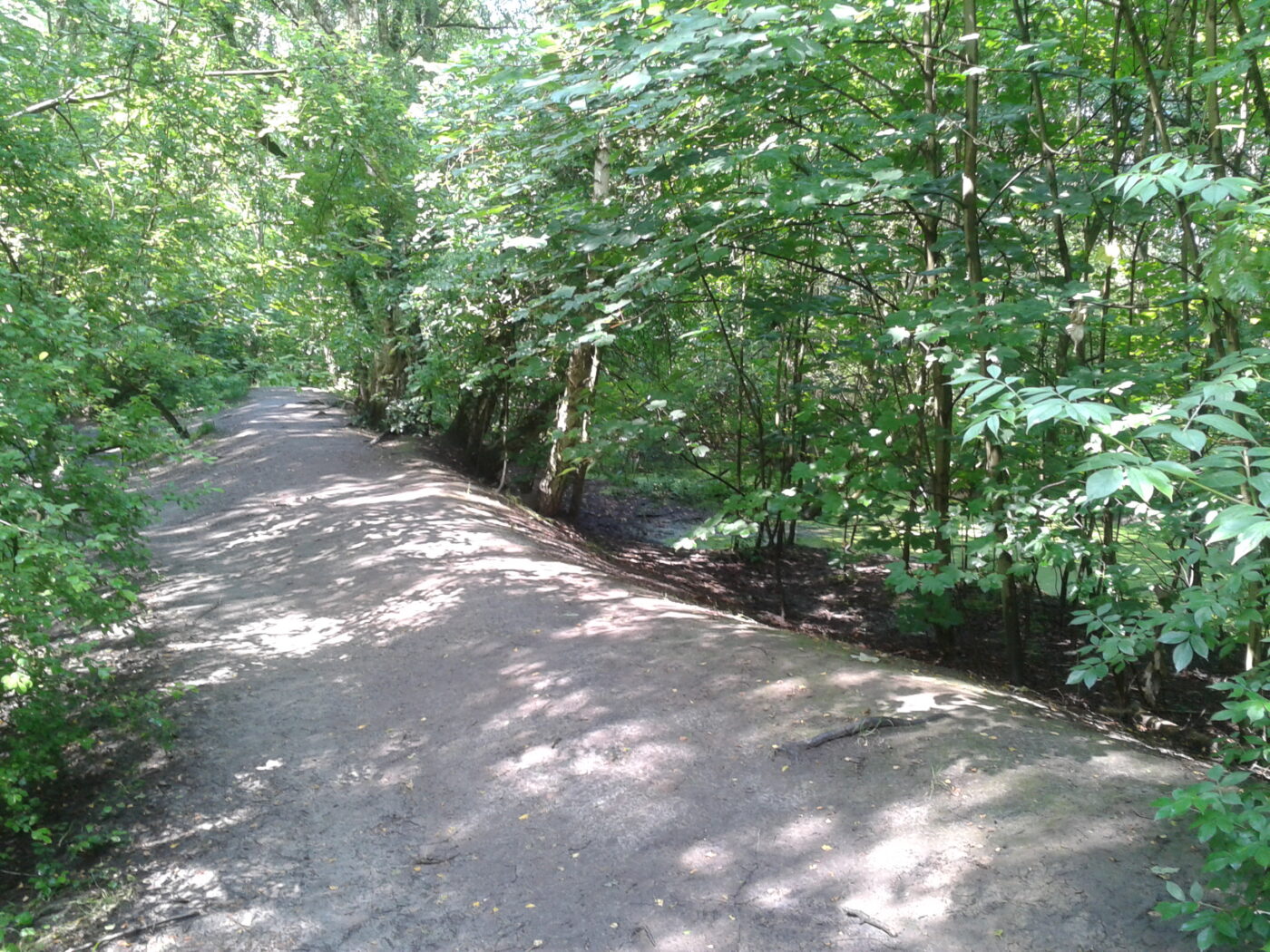 Uni Wildnis in Bremen – Hundeort für Hunde
