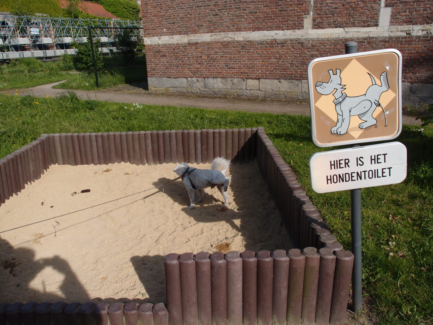Hundetoilette – Hundeort für Hunde