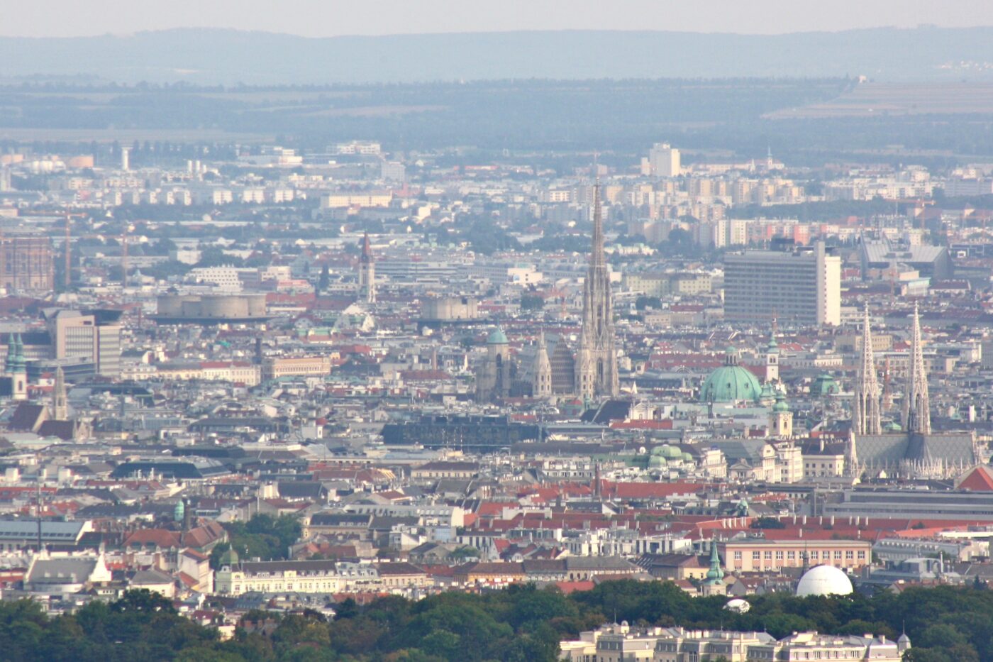 Blick auf Neuberg – hundefreundliche Region rund um S.G.S.V. Rüdigheim