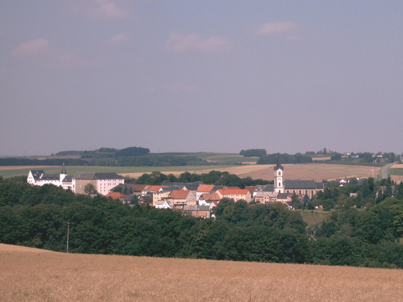 Blick auf Wildenfels – hundefreundliche Region rund um Hundeplatz "Am Kiefricht"