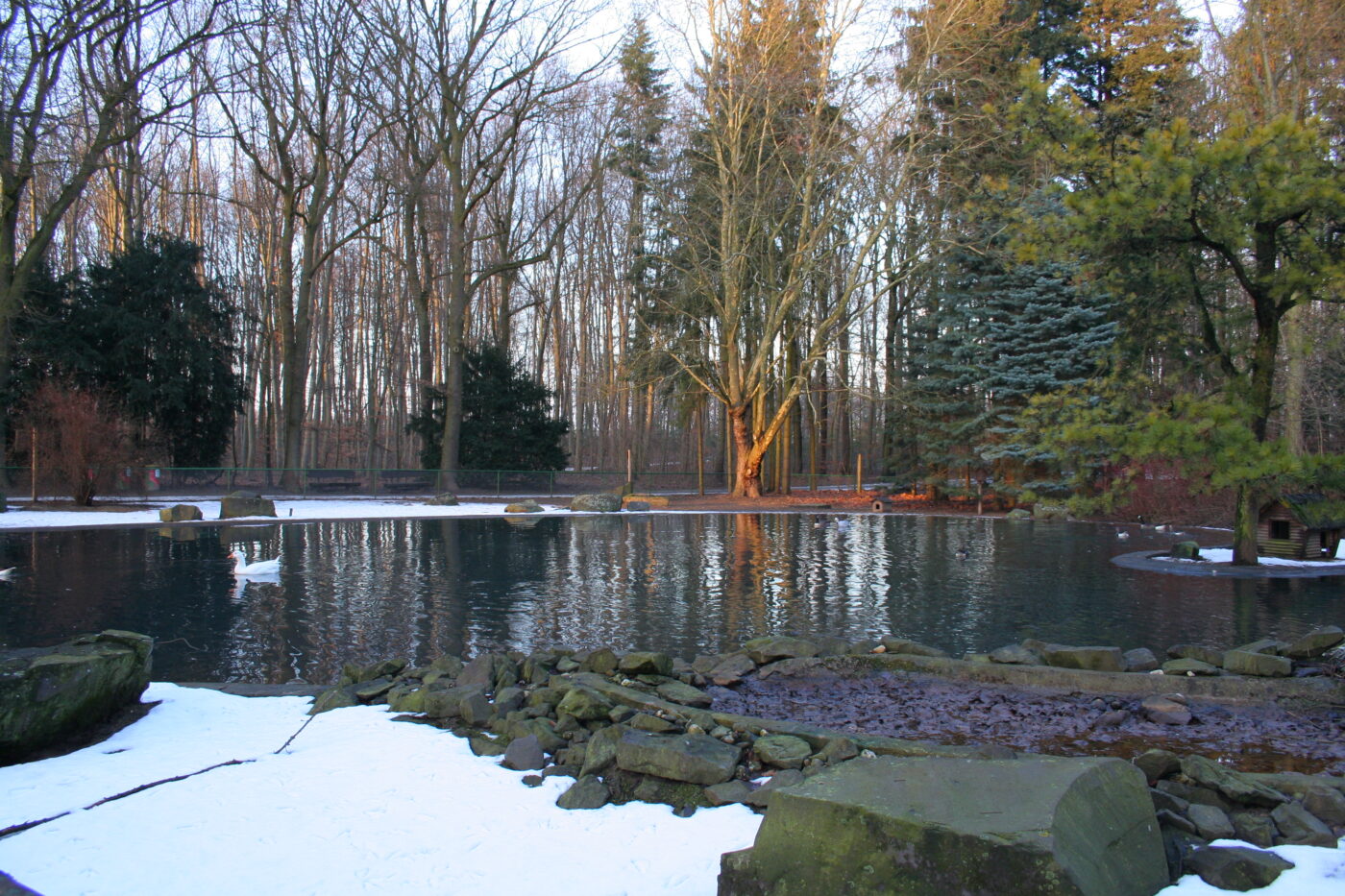 Wildpark Tannenbusch – Hundeort für Hunde