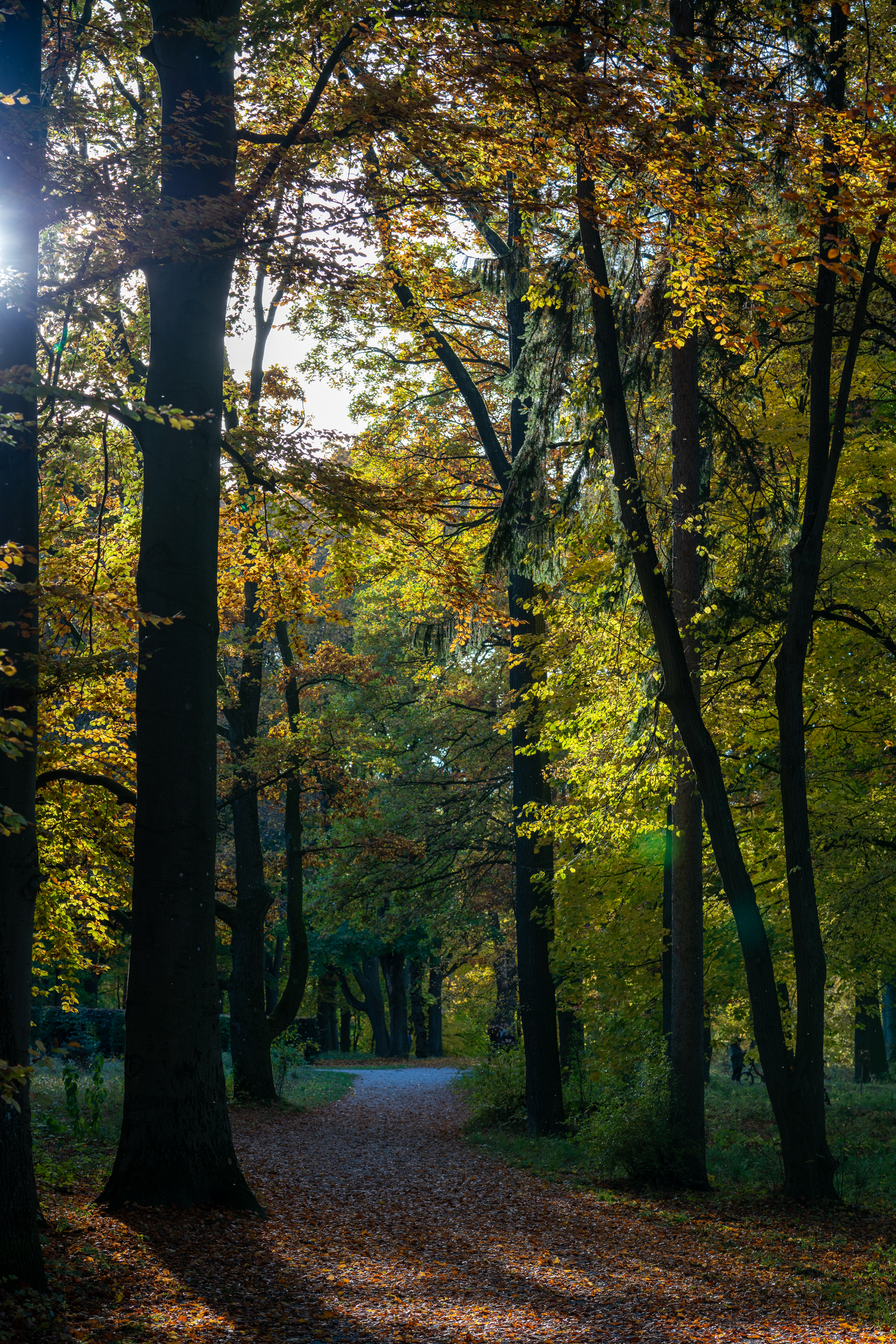 Wittelsbacher Park in Augsburg – Hundeort für Hunde