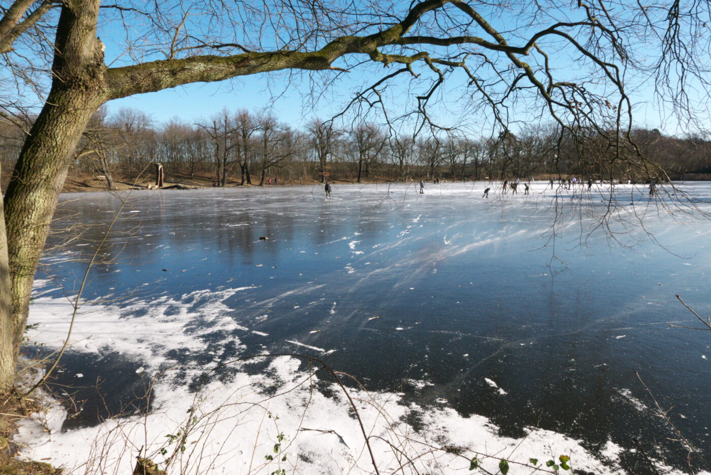 Scheuermühlenteich in Köln – Hundeort für Hunde